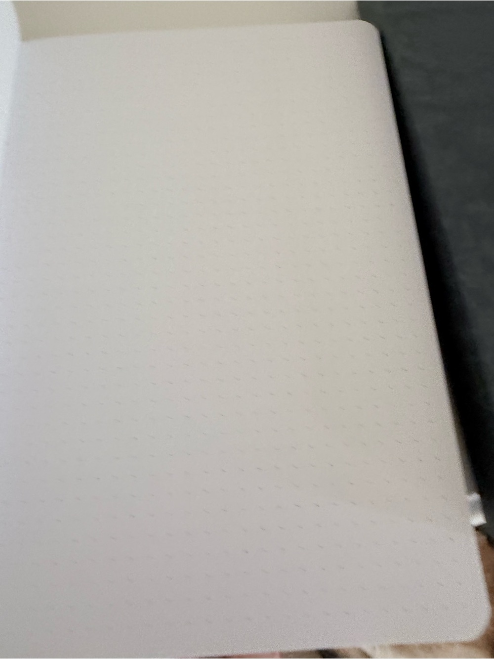 Archer & Olive Taupe Butterfly Embroidered Dot GridNotebook with Elastic Closure - Picture 3 of 6